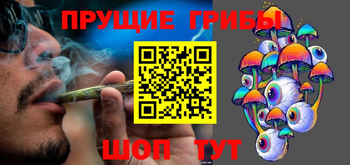 Псилоцибиновые грибы Psilocybine cubensis  Вход с VPN  Кинель 