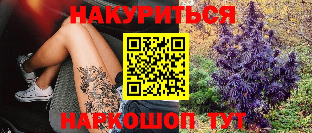 Бошки Шишки план Кинель
